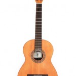 Akustikgitarren Arten/
