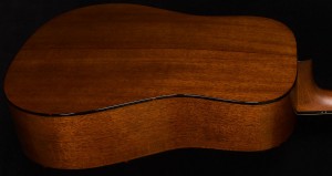 Martin D 16 Adirondack/magazin 